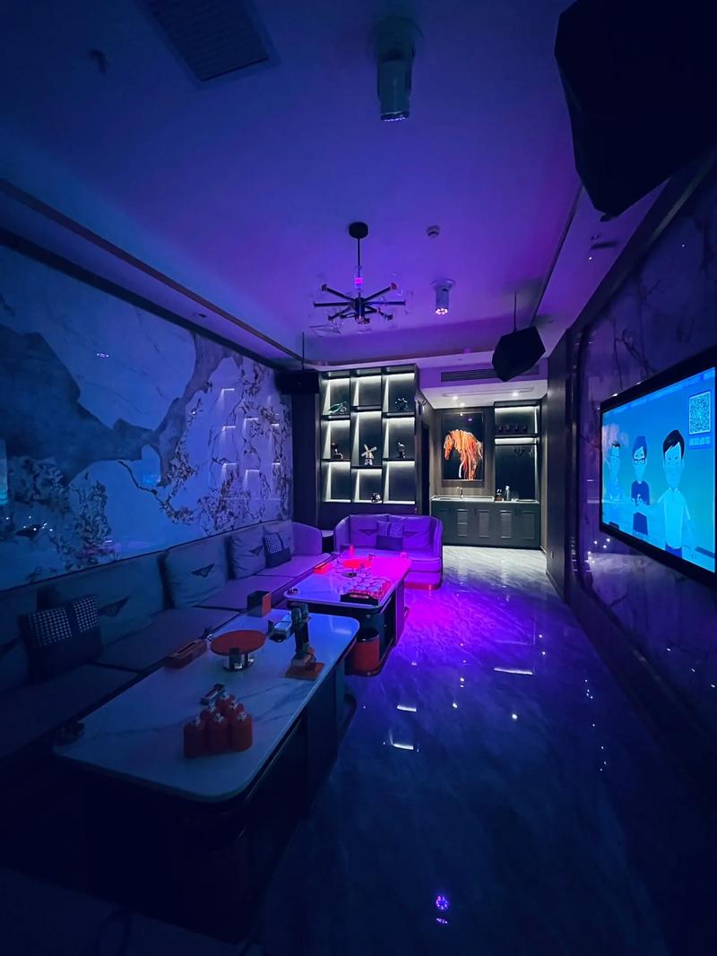 聊城商务ktv专业预订服务推荐-东昌府区ktv预订